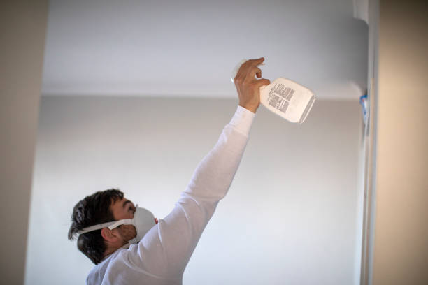 Best Basement Mold Remediation in Ivanhoe, TX