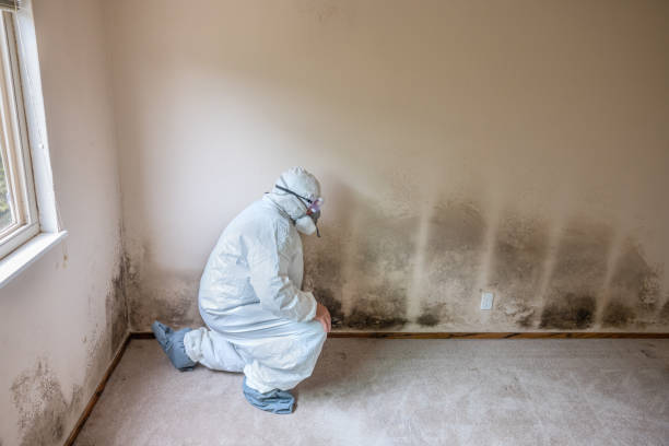 Best Mold Testing and Inspection Services in Ivanhoe, TX