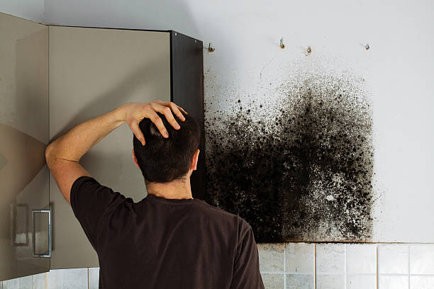 Best Residential Mold Remediation in Ivanhoe, TX